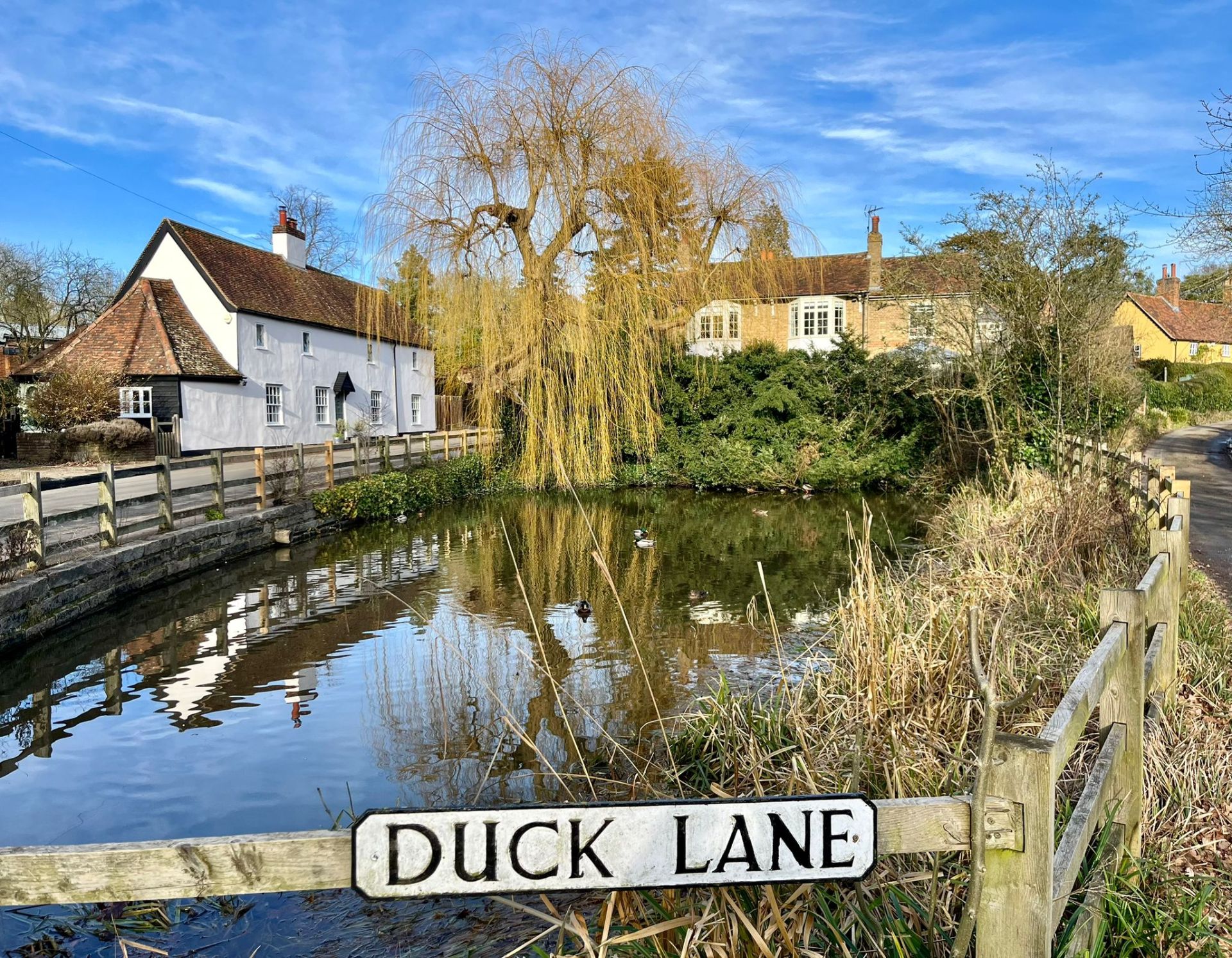 A pond and a sign: "Duck Lane"